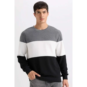 Regular Fit Bisiklet Yaka Jakarlı Sweatshirt D5393AX24AU