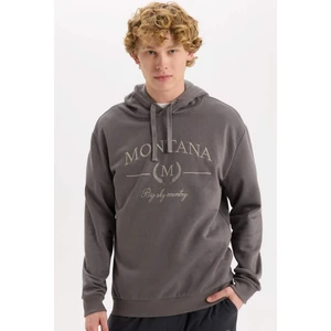 Relax Fit Kapüşonlu Baskılı Kalın Sweatshirt D2681AX24AU