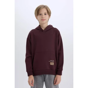 Erkek Çocuk Kapüşonlu Baskılı Cepli Sweatshirt D6329A824WN