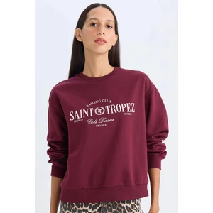 Regular Fit Bisiklet Yaka Baskılı İnce Sweatshirt D5930AX24AU