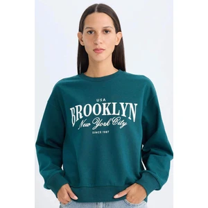 Regular Fit Bisiklet Yaka Baskılı İnce Sweatshirt D5928AX24AU