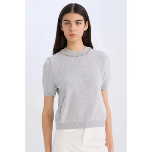 Regular Fit Taşlı Bisiklet Yaka Basic Düz Triko Kazak D8520AX24WN