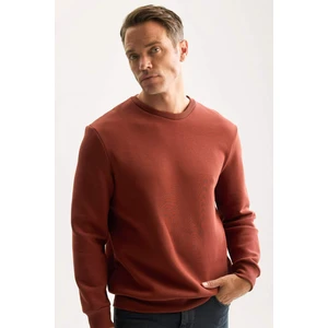 3 İplik Pamuklu Şardonlu İçi Polarlı Regular Fit Bisiklet Yaka Kalın Sweatshirt D7876AXNS