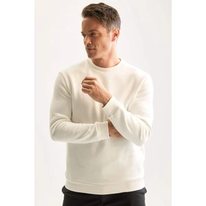 3 İplik Pamuklu Şardonlu İçi Polarlı Regular Fit Bisiklet Yaka Kalın Sweatshirt D7876AXNS