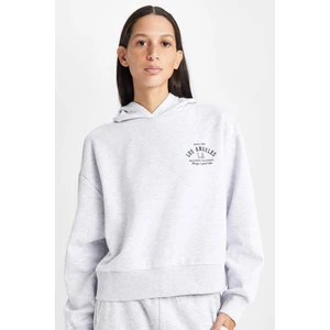 Regular Fit Kapüşonlu Baskılı Kalın Sweatshirt D6720AX24WN