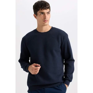 Regular Fit Bisiklet Yaka Jakarlı Sweatshirt D5392AX24AU