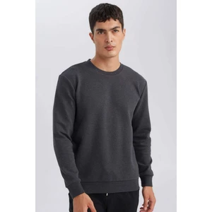 Regular Fit Bisiklet Yaka Jakarlı Sweatshirt D5394AX24AU