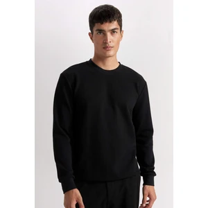 Regular Fit Bisiklet Yaka Jakarlı Sweatshirt D5394AX24AU