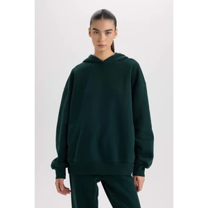 Relax Fit Kapüşonlu Kalın Basic Düz Sweatshirt D9935AX24WN