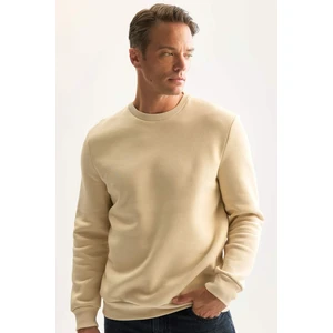 3 İplik Pamuklu Şardonlu İçi Polarlı Regular Fit Bisiklet Yaka Kalın Sweatshirt D7876AXNS