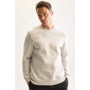 3 İplik Pamuklu Şardonlu İçi Polarlı Regular Fit Bisiklet Yaka Kalın Sweatshirt D7876AXNS