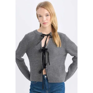 Regular Fit Bisiklet Yaka Bağlamalı Triko Hırka E2271AX24CW