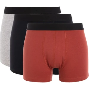 Regular Fit 3'lü Boxer C9571AX24CW