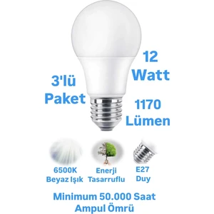 ACK 12W Beyaz Işık LED Ampul 1170 Lümen E27 Duylu Yüksek Işık LED Lamba