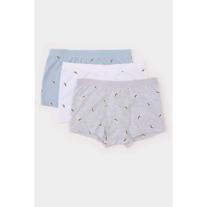 Erkek Çocuk Desenli 3'lü Boxer E1568A824AU
