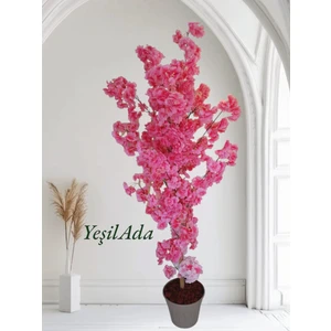 Pembe Bahardalı Ağaç Bahar Dalı  Pembe Çiçek 1.50 mt Boy