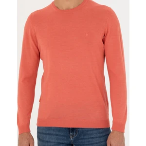 Pierre Cardin Erkek Somon Slim Fit Bisiklet Yaka Yün Karışımlı Basic Triko Kazak 50270054-VR047