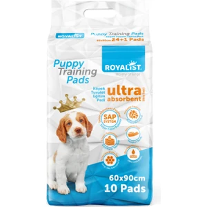 Tuvalet Eğitim Pedi 60x90 cm 10 Adet