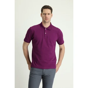 Polo Yaka Regular Fit Nakışlı Pamuk Tişört