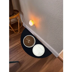 Silikon Mama Matı Havuzlu Yıkanabilir Kaymaz Evcil Hayvan Beslenme Matı Kedi Köpek Paspası 50X25 cm