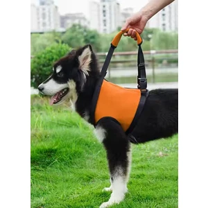 Köpek Kaldırma Kayışı Bopy