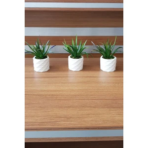 Adresi Burası Beton Saksıda Yeşillik Masa Çiçeği 3 Lü Set Mor