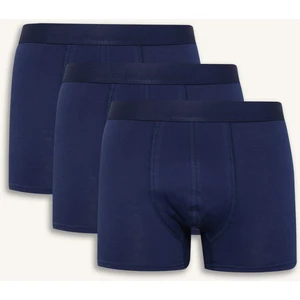 Regular Fit 3'lü Boxer C3275AX25SP