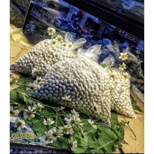 ispir şeker fasülyesi