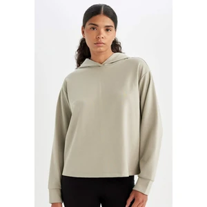 DeFactoFit Standart Fit Kapüşonlu Skuba Dalgıç Kumaş Sporcu Basic Düz Sweatshirt A5626AX24AU