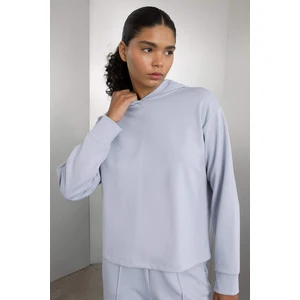 DeFactoFit Standart Fit Kapüşonlu Skuba Dalgıç Kumaş Sporcu Basic Düz Sweatshirt A5626AX24AU