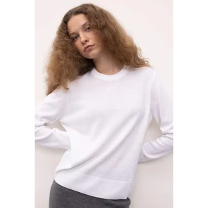 Regular Fit Yumuşak Dokulu Bisiklet Yaka Basic Düz Triko Kazak C0058AX24WN