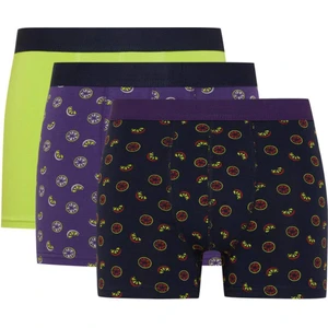 Regular Fit 3'lü Boxer D2327AX24AU