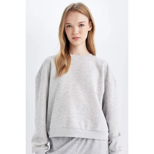 Regular Fit Bisiklet Yaka Kalın Basic Düz Sweatshirt D6645AX24WN