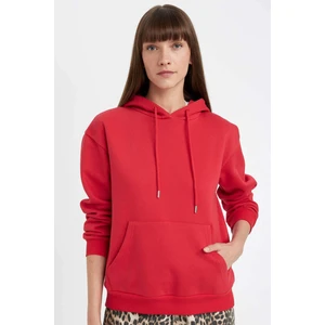 Relax Fit Kapüşonlu Kanguru Cepli Kalın Basic Düz Sweatshirt W1240AZ24WN