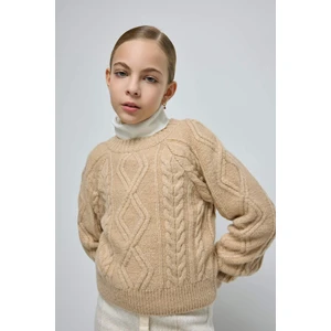 Kız Çocuk Örgü Detaylı Bisiklet Yaka Triko Kazak D1361A824WN