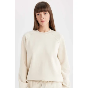 Oversize Geniş Kalıp Bisiklet Yaka Kalın Basic Düz Sweatshirt V2697AZ24WN
