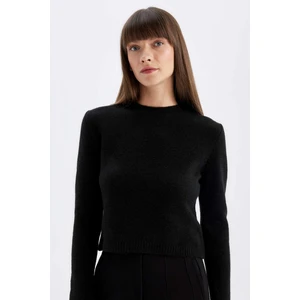 Regular Fit Bisiklet Yaka Premium Basic Düz Crop Triko Kazak C9047AX24WN