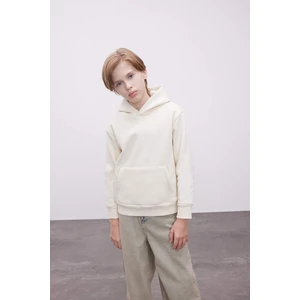 Erkek Çocuk Cepli Kapüşonlu Kalın Okul Sweatshirt C7565A824AU