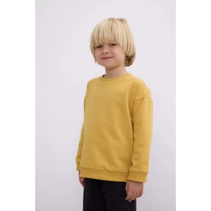 Erkek Bebek Bisiklet Yaka İçi Yumuşak Tüylü Basic Düz Sweatshirt A7433A524WN