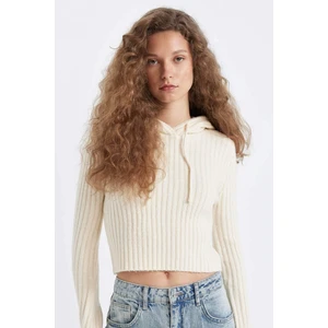 Regular Fit Basic Düz Kapüşonlu Crop Triko Kazak C7333AX24WN