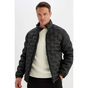 Su İtici Slim Fit Şişme Mont Dar Kesim Dik Yaka Fermuarlı Cepli Kapitone D1234AX24WN
