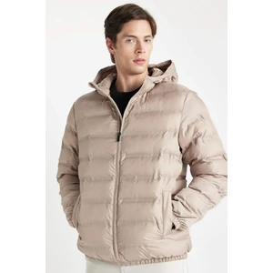 Su İtici Şişme Mont Slim Fit Dar Kesim Kapüşonlu Fermuarlı Cepli D1185AX24WN