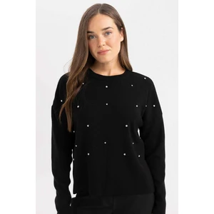 Regular Fit Bisiklet Yaka Taşlı Siyah Triko Kazak R0726AZ24WN