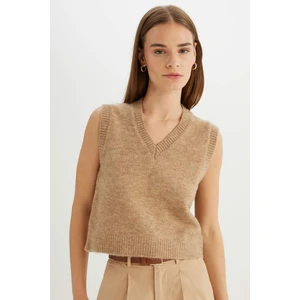Regular Fit V Yaka Basic Düz Premium Triko Süveter C9048AX24WN