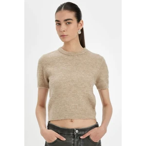 Regular Fit Bisiklet Yaka Premium Basic Düz Kısa Kollu Triko Kazak C9049AX24WN