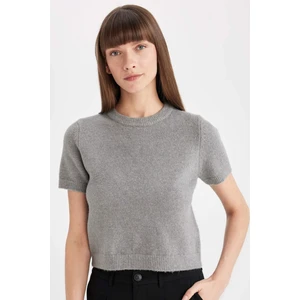 Regular Fit Bisiklet Yaka Premium Basic Düz Kısa Kollu Triko Kazak C9049AX24WN
