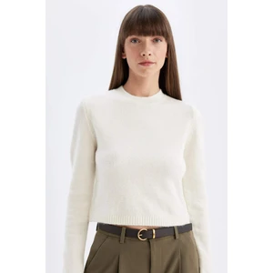 Regular Fit Bisiklet Yaka Premium Basic Düz Crop Triko Kazak C9047AX24WN