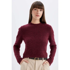 Regular Fit Bisiklet Yaka Premium Basic Düz Crop Triko Kazak C9047AX24WN