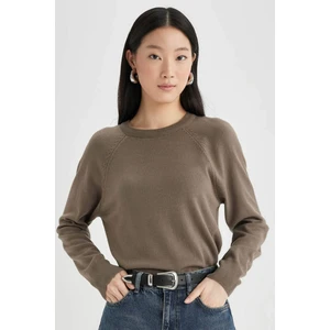 Regular Fit Yumuşak Dokulu Bisiklet Yaka Basic Düz Triko Kazak I6913AZ24WN