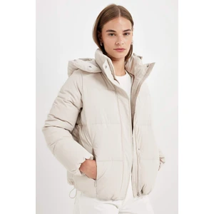 Su İtici Puffer Şişme Mont Oversize Geniş Kalıp Kapüşonlu Fermuarlı Çıtçıtlı A4090AX24WN